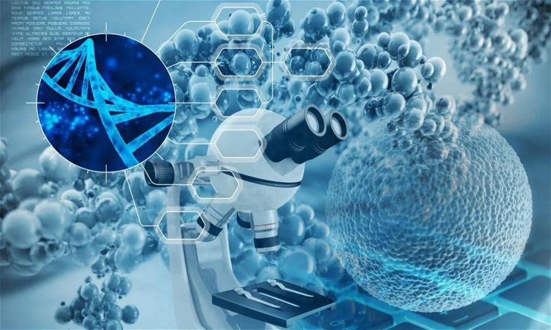 盈泰生生物